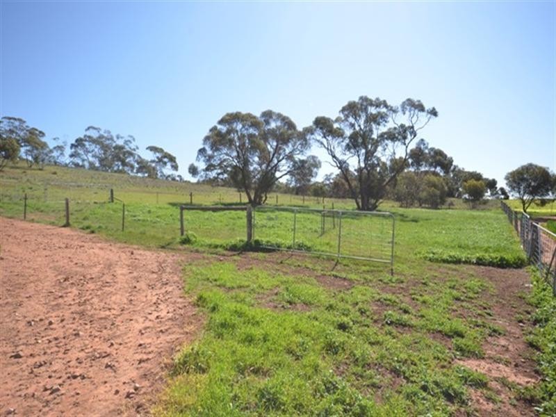 Kaiser Stuhl Scenic Road, Point Pass SA 5374