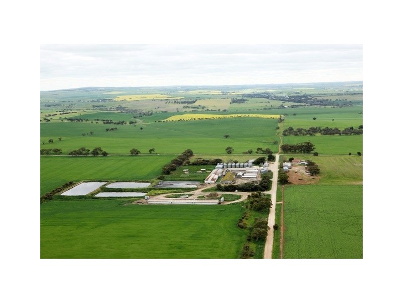 “YELMAH FARM” 2 Lots, Tarlee SA 5411