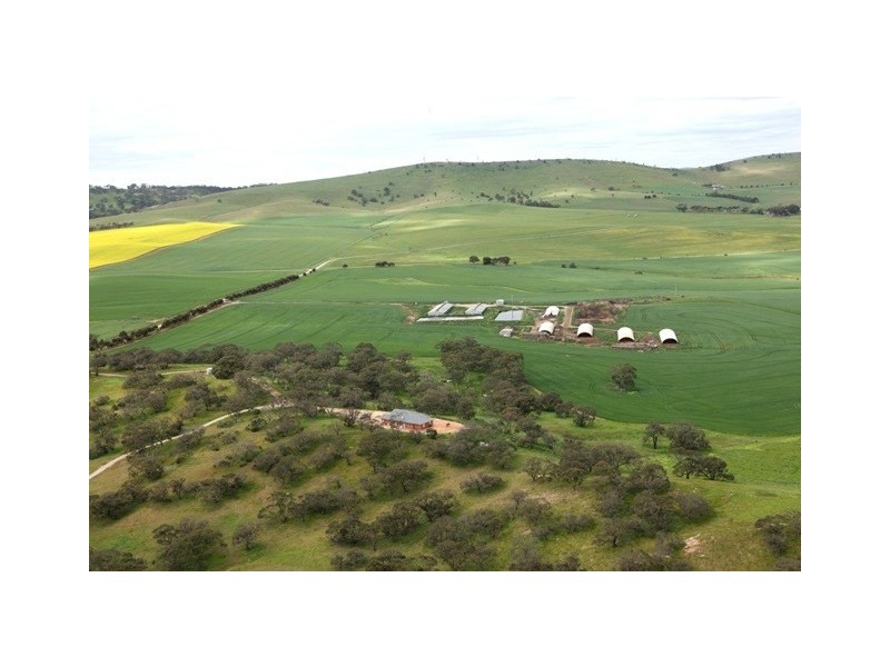 “YELMAH FARM” 2 Lots, Tarlee SA 5411