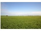 “YELMAH FARM” 2 Lots, Tarlee SA 5411