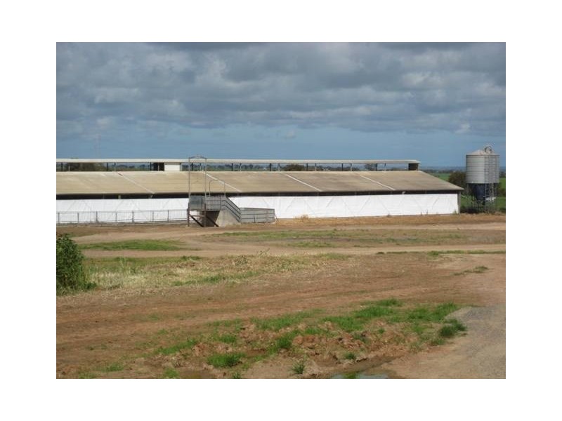 “YELMAH FARM” 2 Lots, Tarlee SA 5411