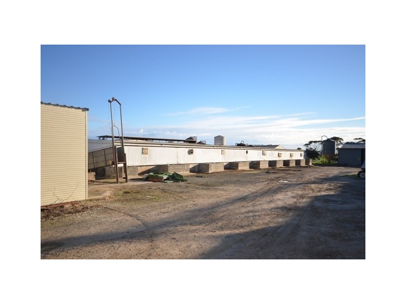 “YELMAH FARM” 2 Lots, Tarlee SA 5411