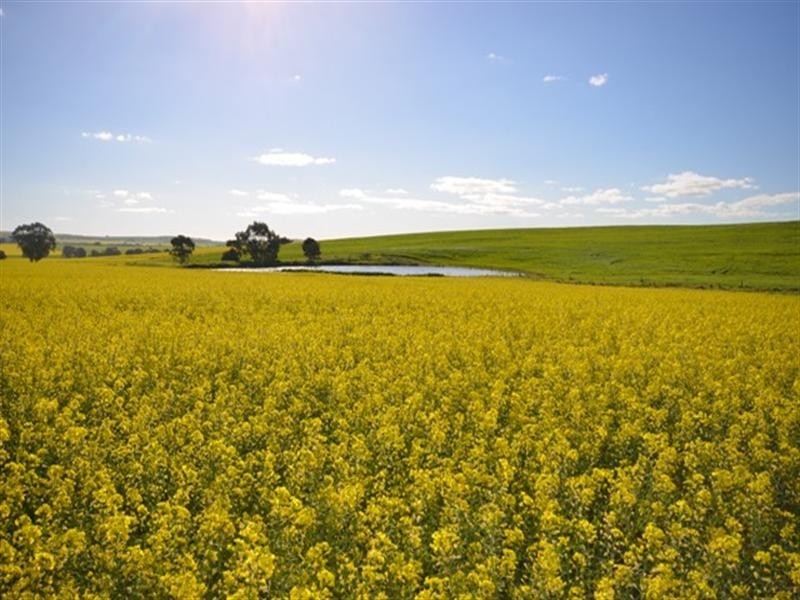 “EAST FARM” Lallys Road, Hill River SA 5453