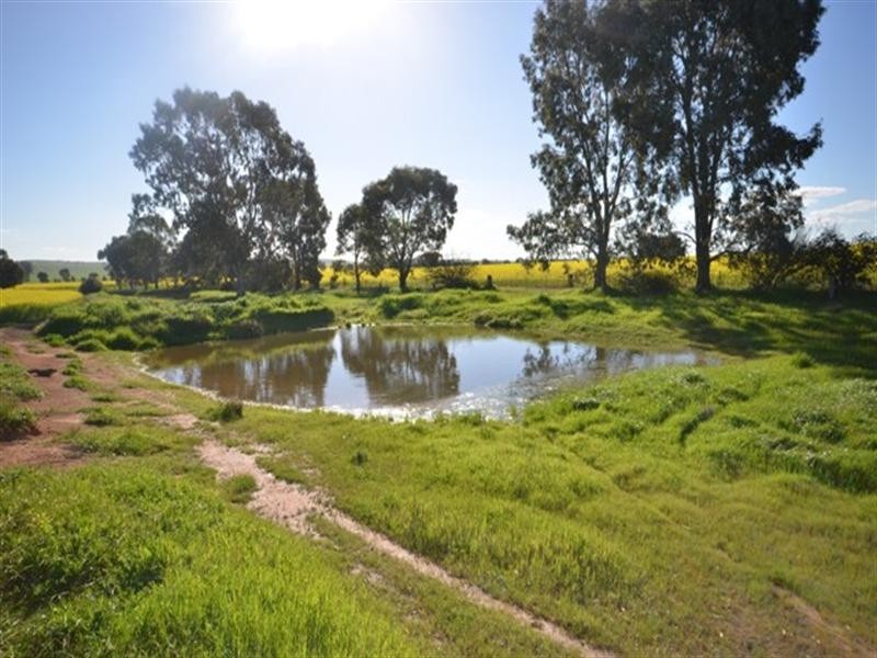 “EAST FARM” Lallys Road, Hill River SA 5453