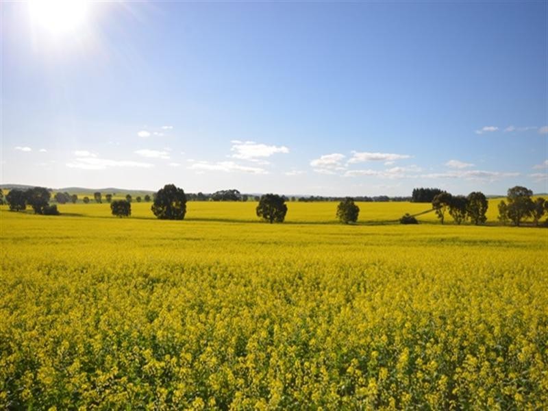 “EAST FARM” Lallys Road, Hill River SA 5453