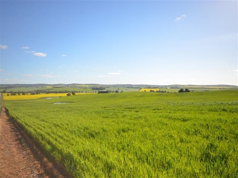 “EAST FARM” Lallys Road, Hill River SA 5453