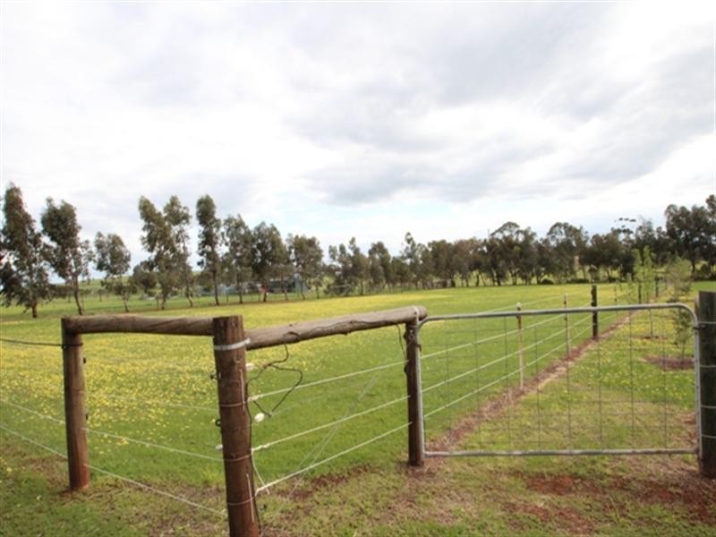 30 Globe Street, Auburn SA 5451