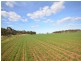 3 Lots Sutherlands Area, Eudunda SA 5374