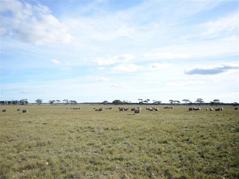 3 Lots Sutherlands Area, Eudunda SA 5374