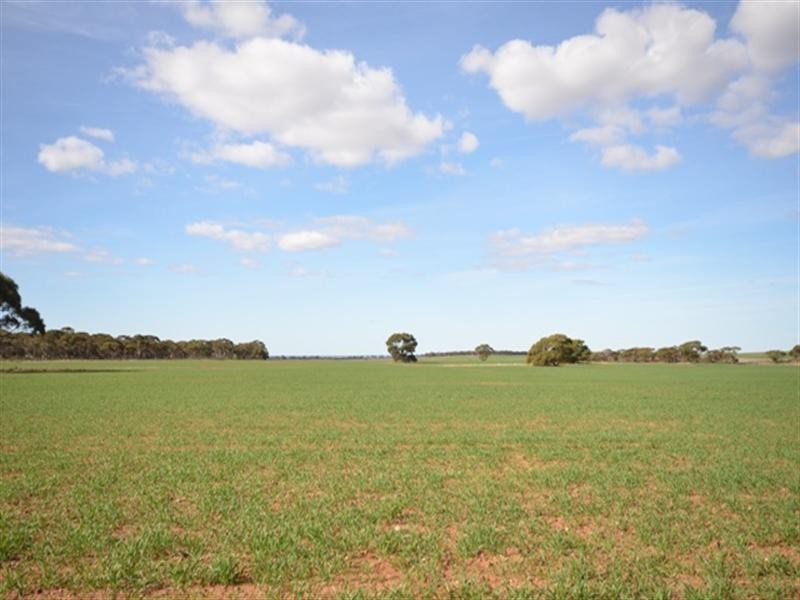 3 Lots Sutherlands Area, Eudunda SA 5374