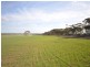 3 Lots Sutherlands Area, Eudunda SA 5374