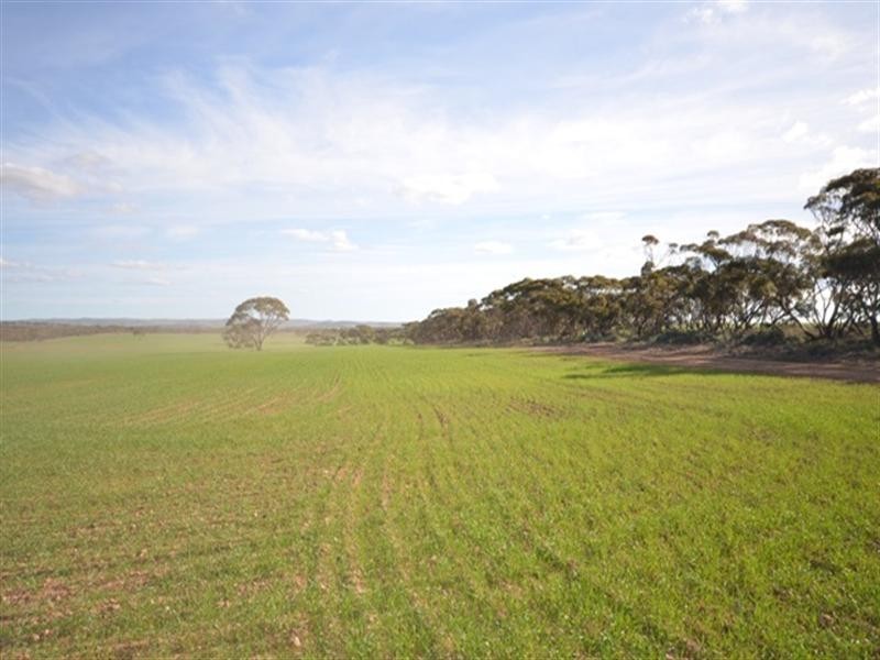 3 Lots Sutherlands Area, Eudunda SA 5374