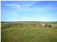 3 Lots Sutherlands Area, Eudunda SA 5374