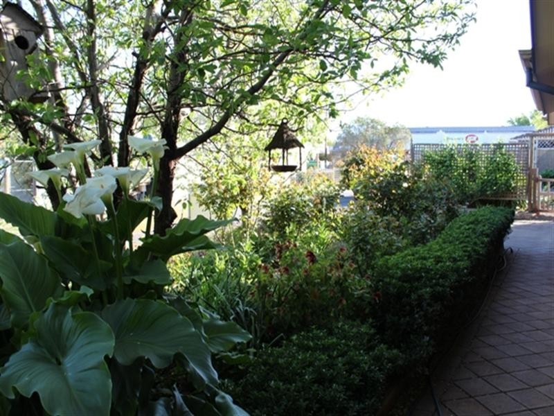 1 Daly Street, Auburn SA 5451