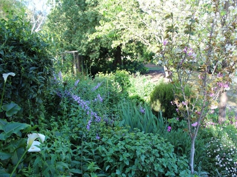 1 Daly Street, Auburn SA 5451