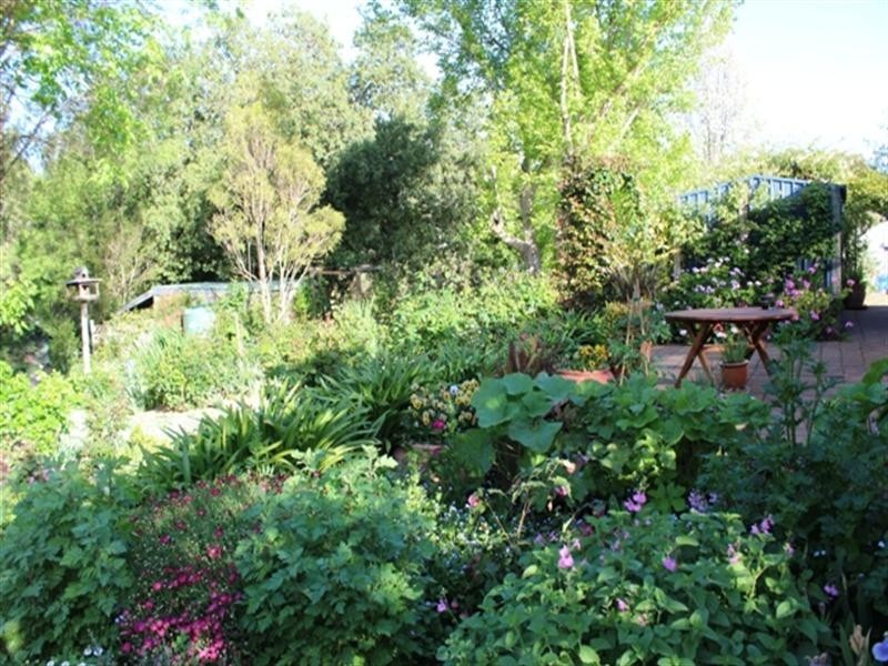 1 Daly Street, Auburn SA 5451