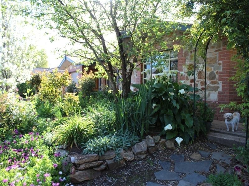 1 Daly Street, Auburn SA 5451