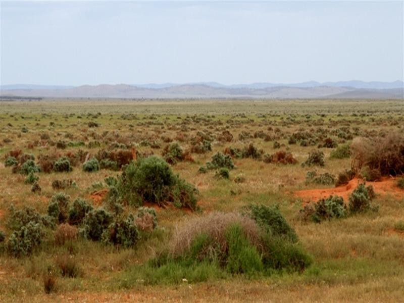 . “Collinsville Station”, Burra SA 5417