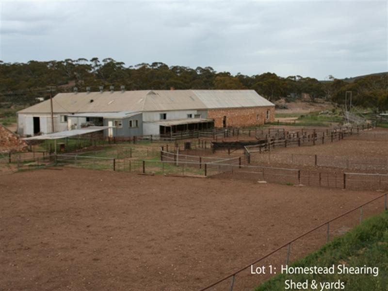 . “Collinsville Station”, Burra SA 5417