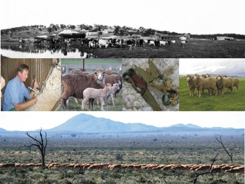 . “Collinsville Station”, Burra SA 5417