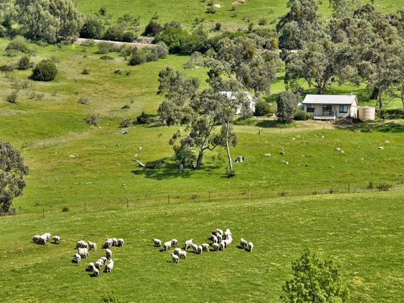 360 Quarry Road, Clare SA 5453