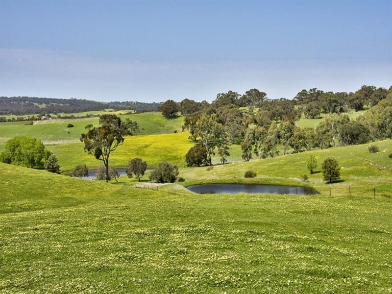 360 Quarry Road, Clare SA 5453