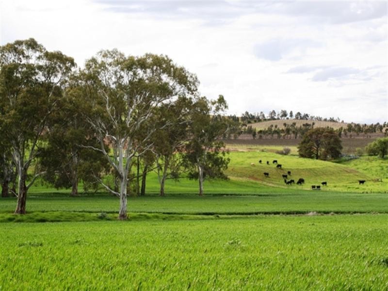 24/Lot 23 Hean Road, Auburn SA 5451