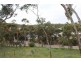 Lot 302 Hanlins Road, Clare SA 5453