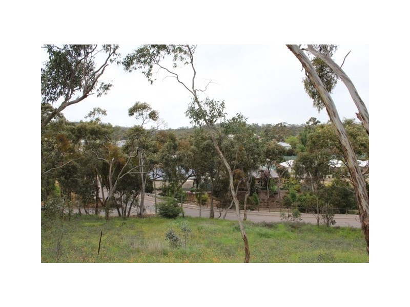Lot 302 Hanlins Road, Clare SA 5453