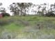 Lot 302 Hanlins Road, Clare SA 5453