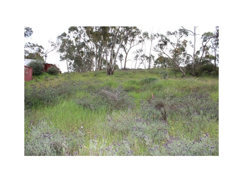 Lot 302 Hanlins Road, Clare SA 5453