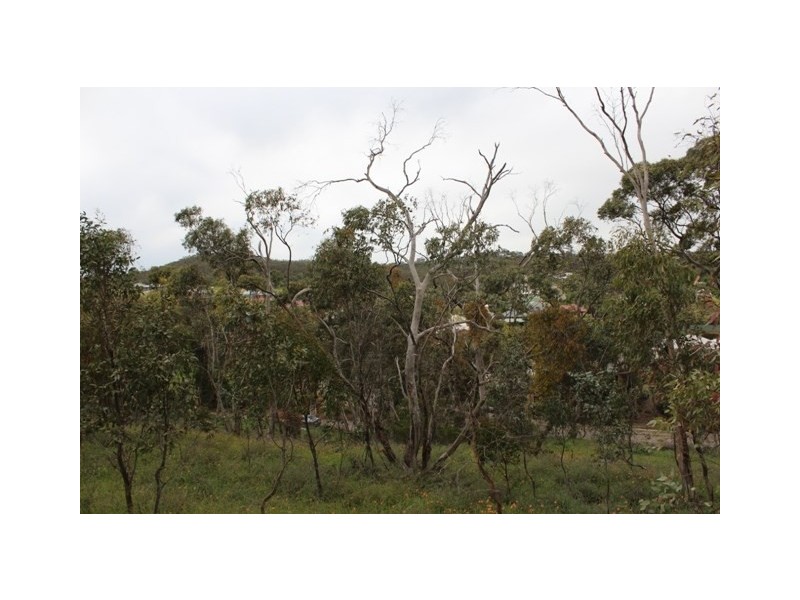 Lot 302 Hanlins Road, Clare SA 5453