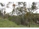 Lot 302 Hanlins Road, Clare SA 5453