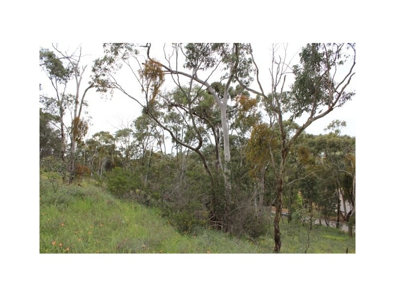 Lot 302 Hanlins Road, Clare SA 5453