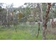 Lot 302 Hanlins Road, Clare SA 5453
