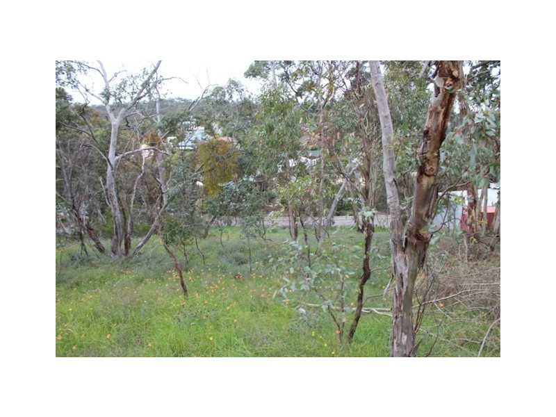 Lot 302 Hanlins Road, Clare SA 5453