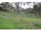Lot 302 Hanlins Road, Clare SA 5453