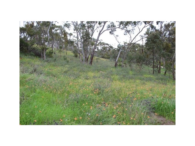 Lot 302 Hanlins Road, Clare SA 5453