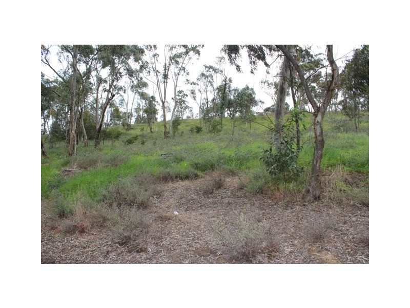 Lot 301 Hanlins Road, Clare SA 5453