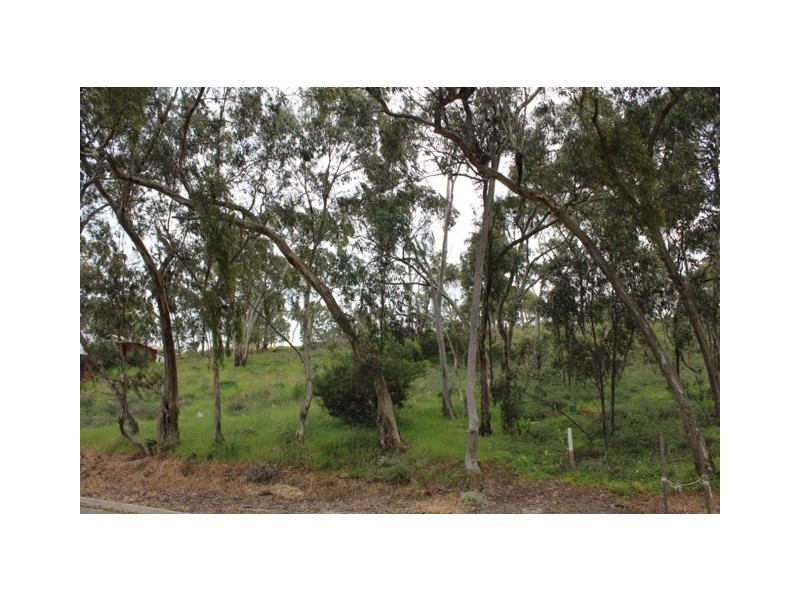 Lot 301 Hanlins Road, Clare SA 5453