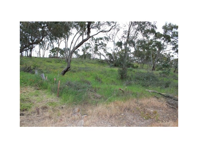 Lot 301 Hanlins Road, Clare SA 5453