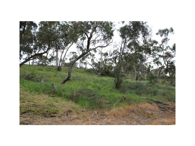 Lot 301 Hanlins Road, Clare SA 5453
