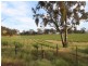 293 Spring Gully Road, Sevenhill SA 5453