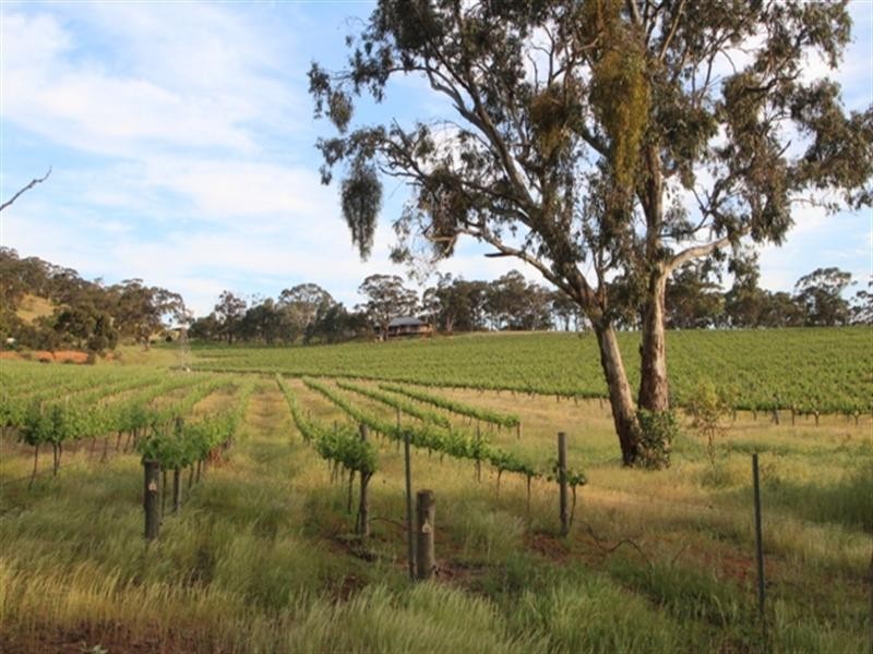 293 Spring Gully Road, Sevenhill SA 5453