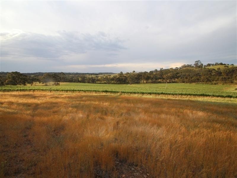 293 Spring Gully Road, Sevenhill SA 5453