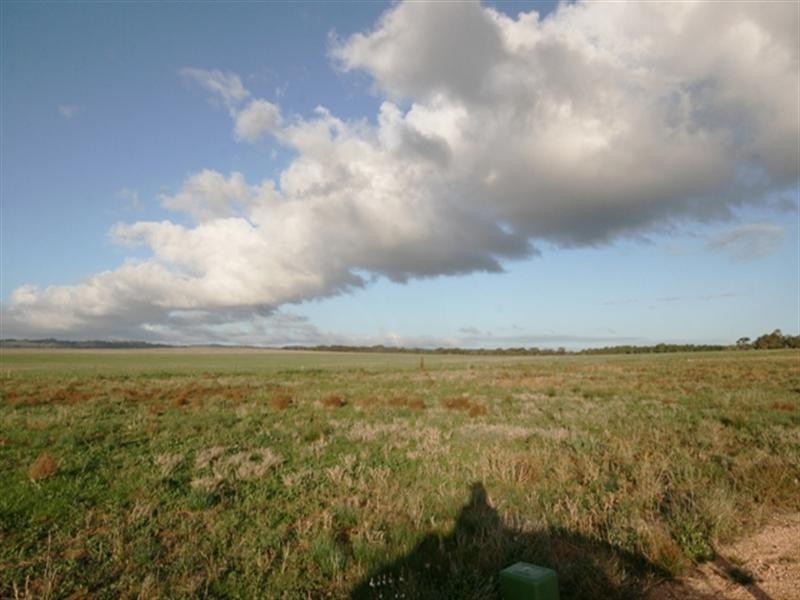 Lot 29 Cook Avenue, Blyth SA 5462