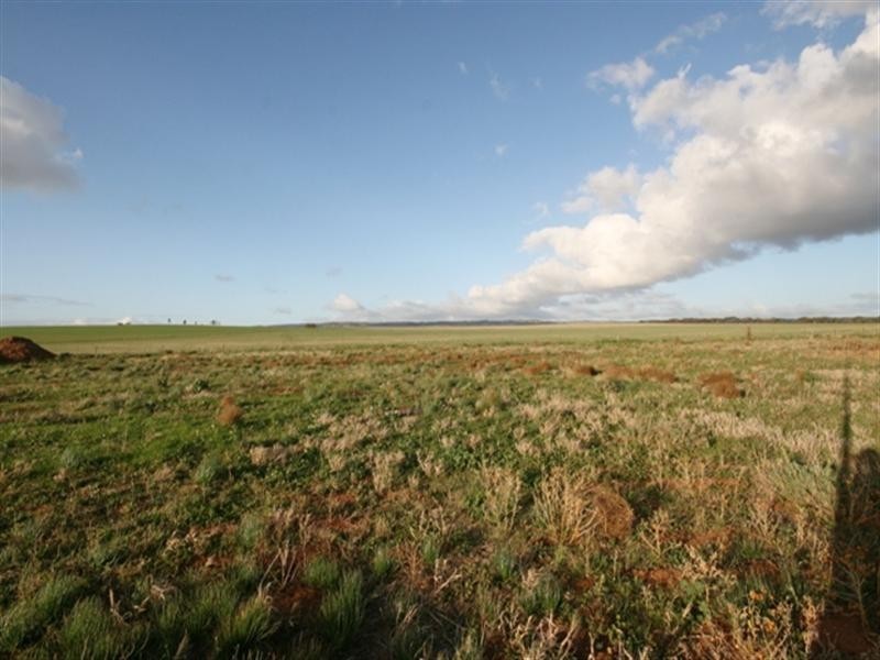 Lot 29 Cook Avenue, Blyth SA 5462