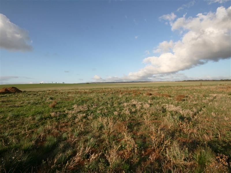 Lot 29 Cook Avenue, Blyth SA 5462