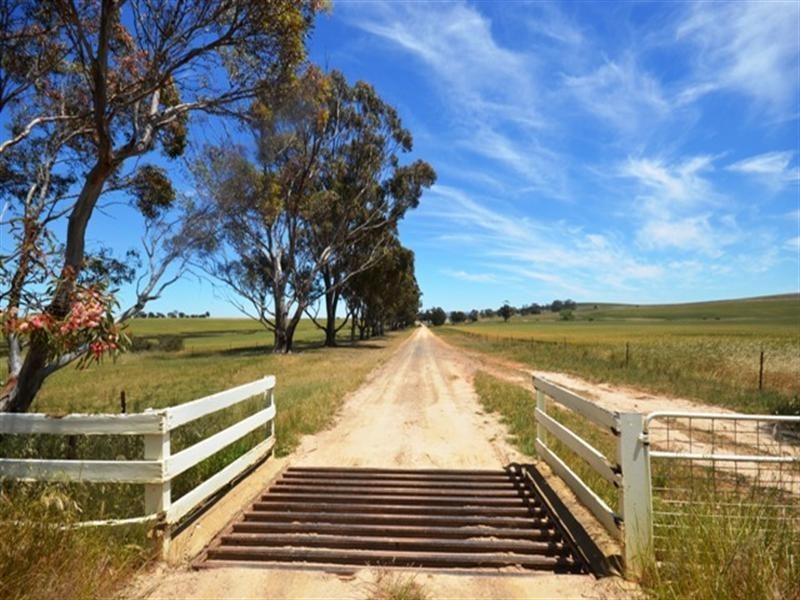 4 Lots Holm Hill Road, Manoora SA 5414