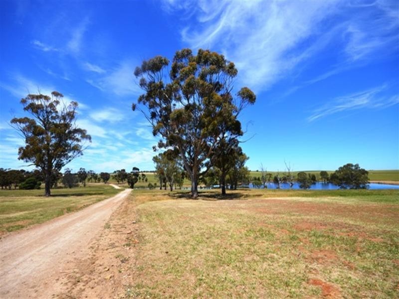 4 Lots Holm Hill Road, Manoora SA 5414